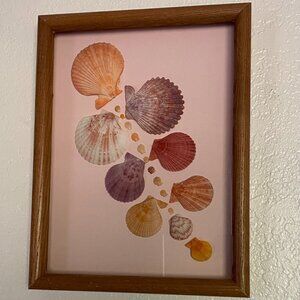 Scallop Shell Framed Wall Art Decor 10"x 14"